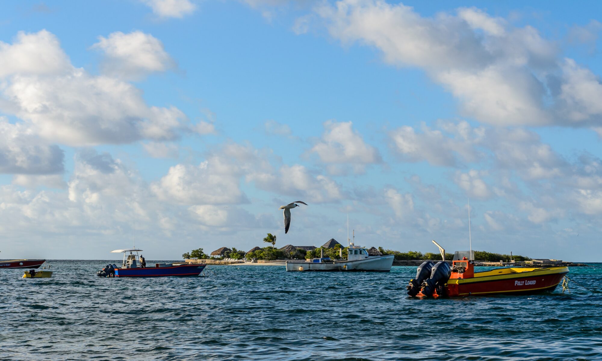 Rechtlich gültige Übersetzung Schweiz