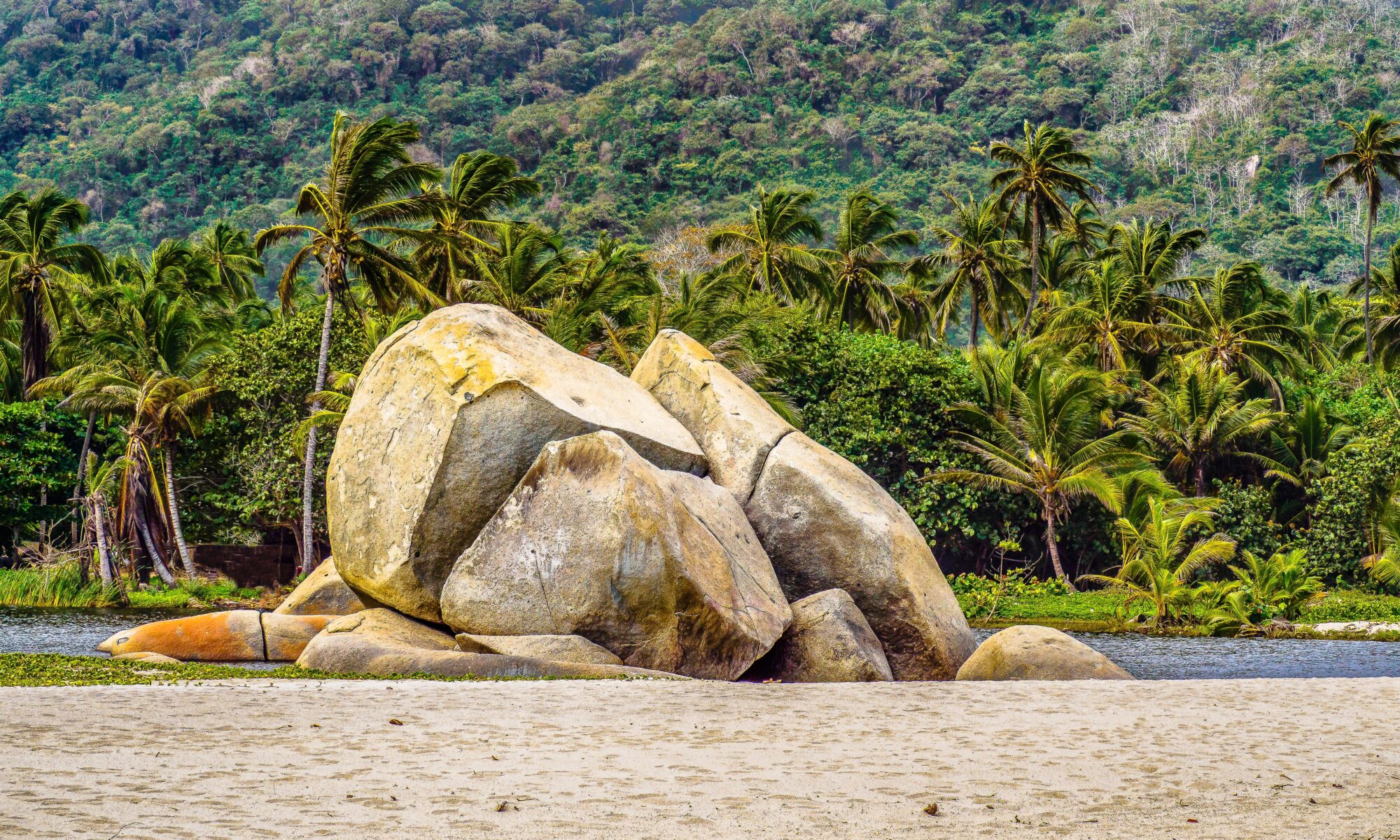 Amtliche Übersetzungen Schweiz