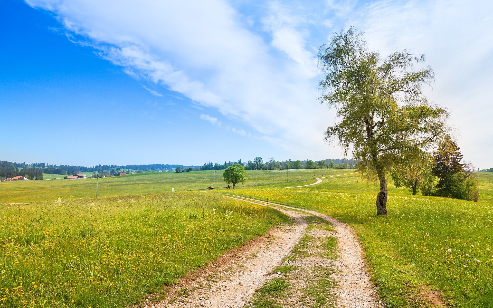 Traductions professionnelles à Alle