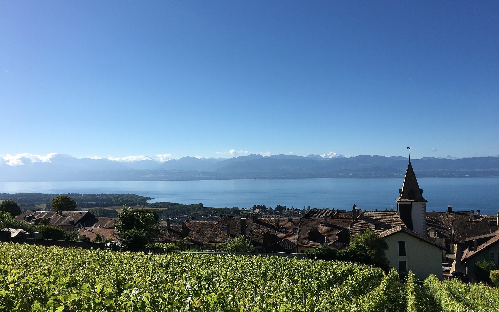 Professional translations in Bougy-Villars