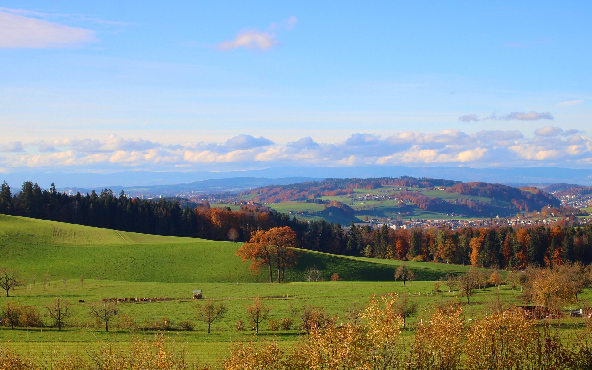 Übersetzungsbüro Arni
