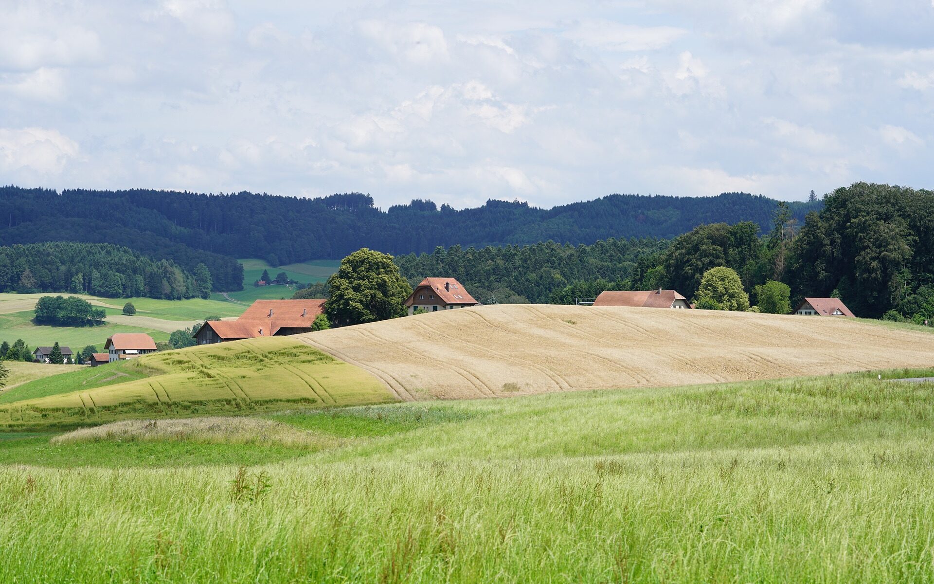 Professional translations in Auswil