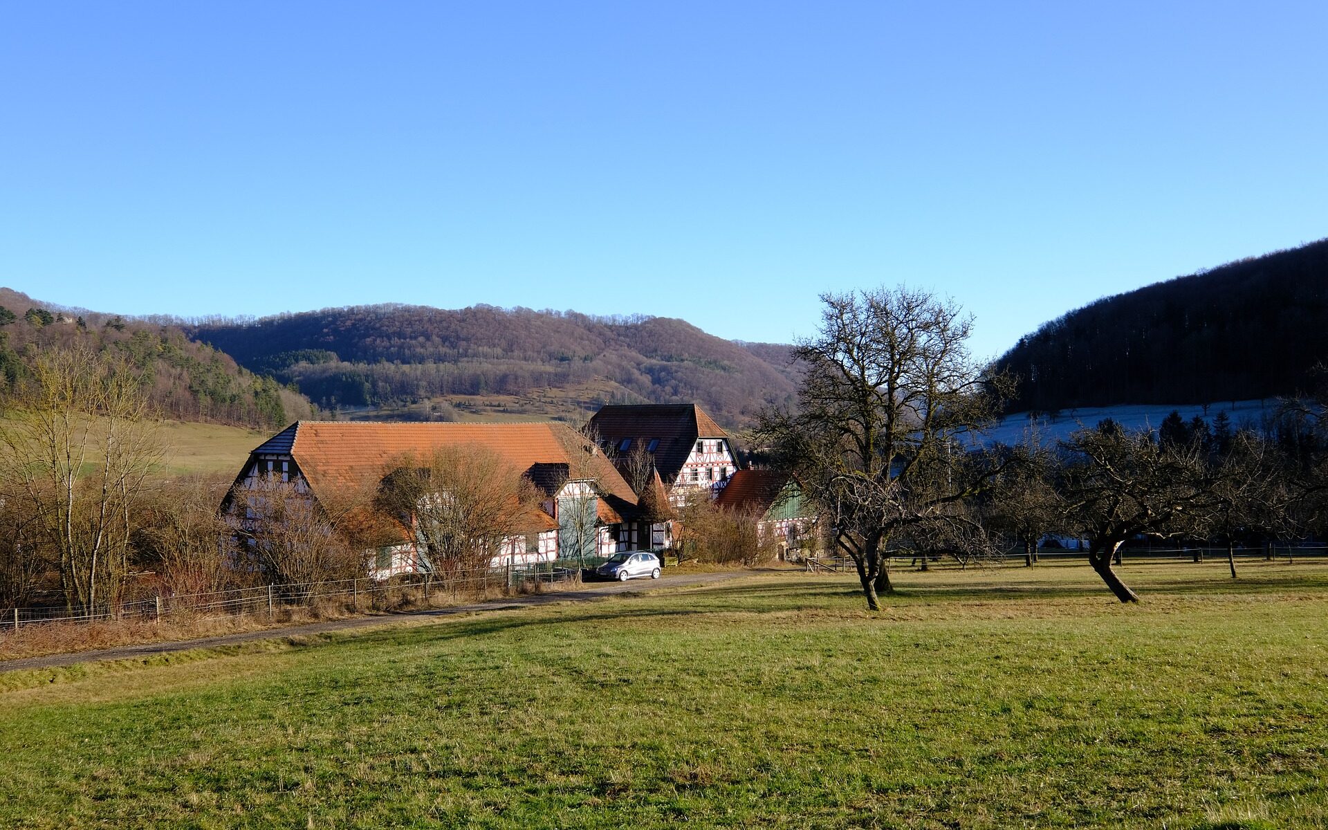 Professional translations in Bleienbach
