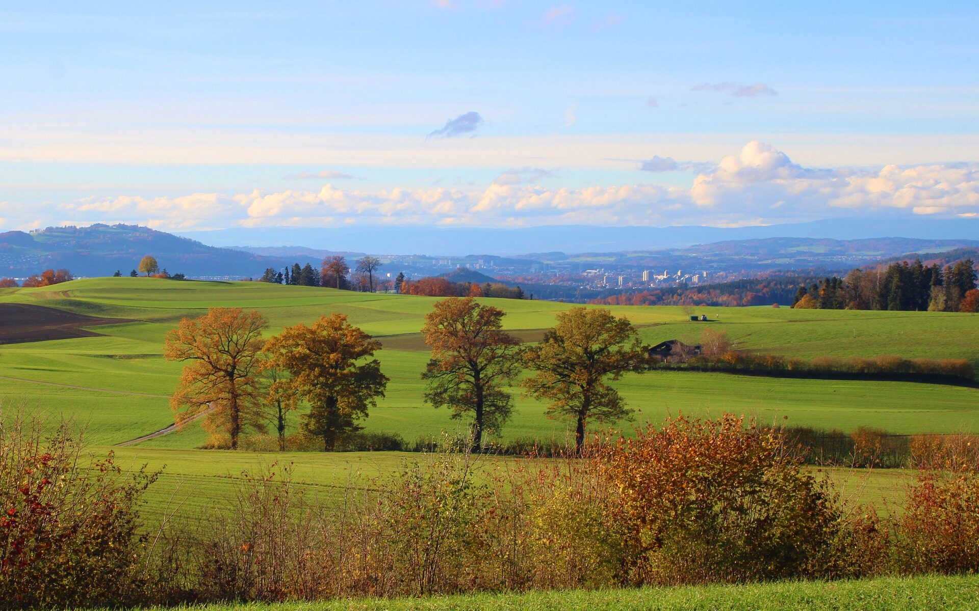 Traduzioni professionali a Bühl