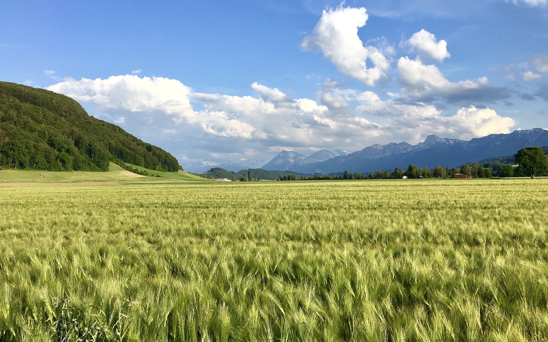 Übersetzungsbüro Burgistein