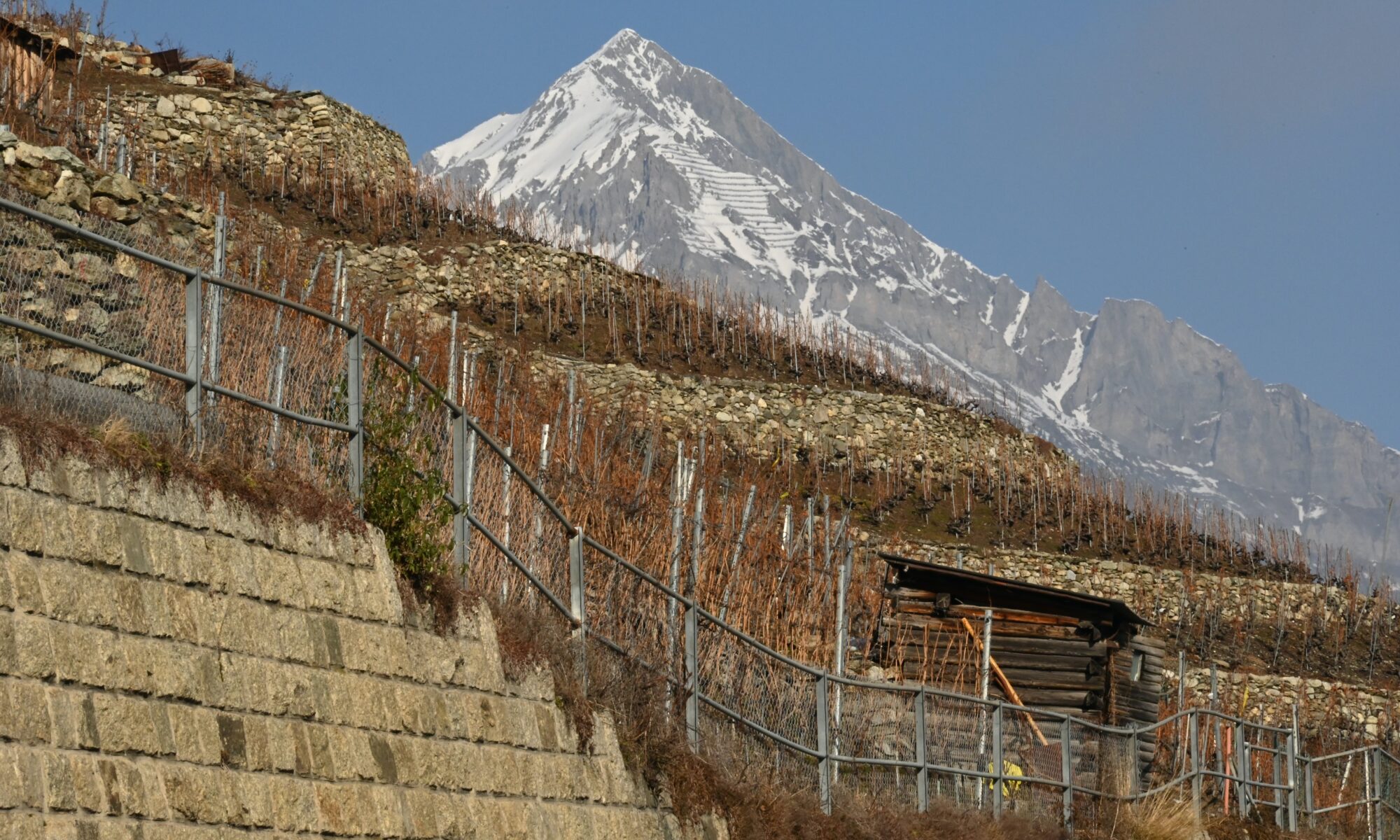 Übersetzungsbüro Martigny-Combe