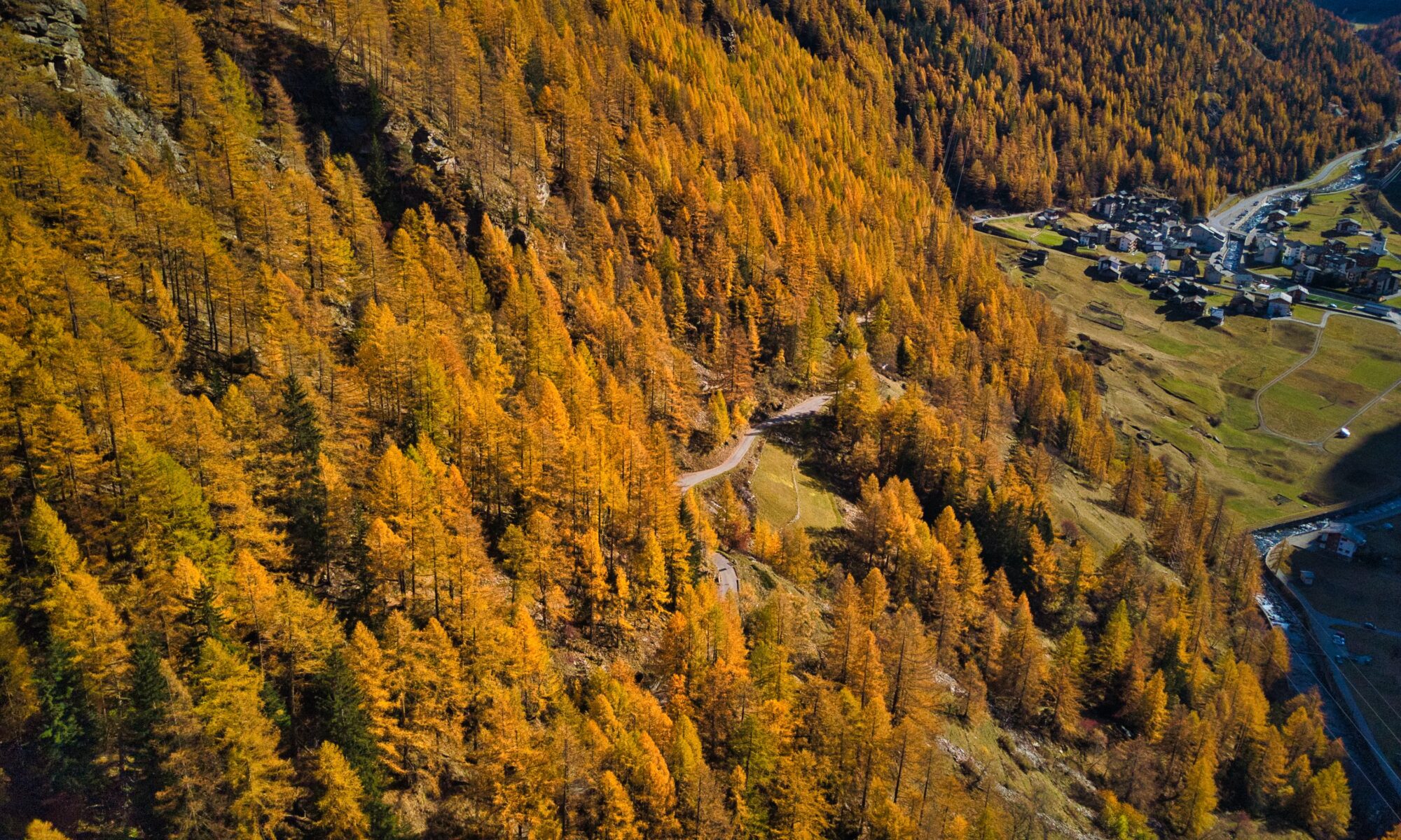 Übersetzungsbüro Saas-Balen