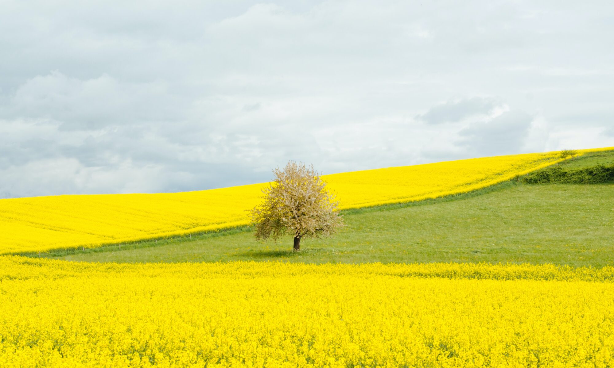 Übersetzungsbüro Aclens