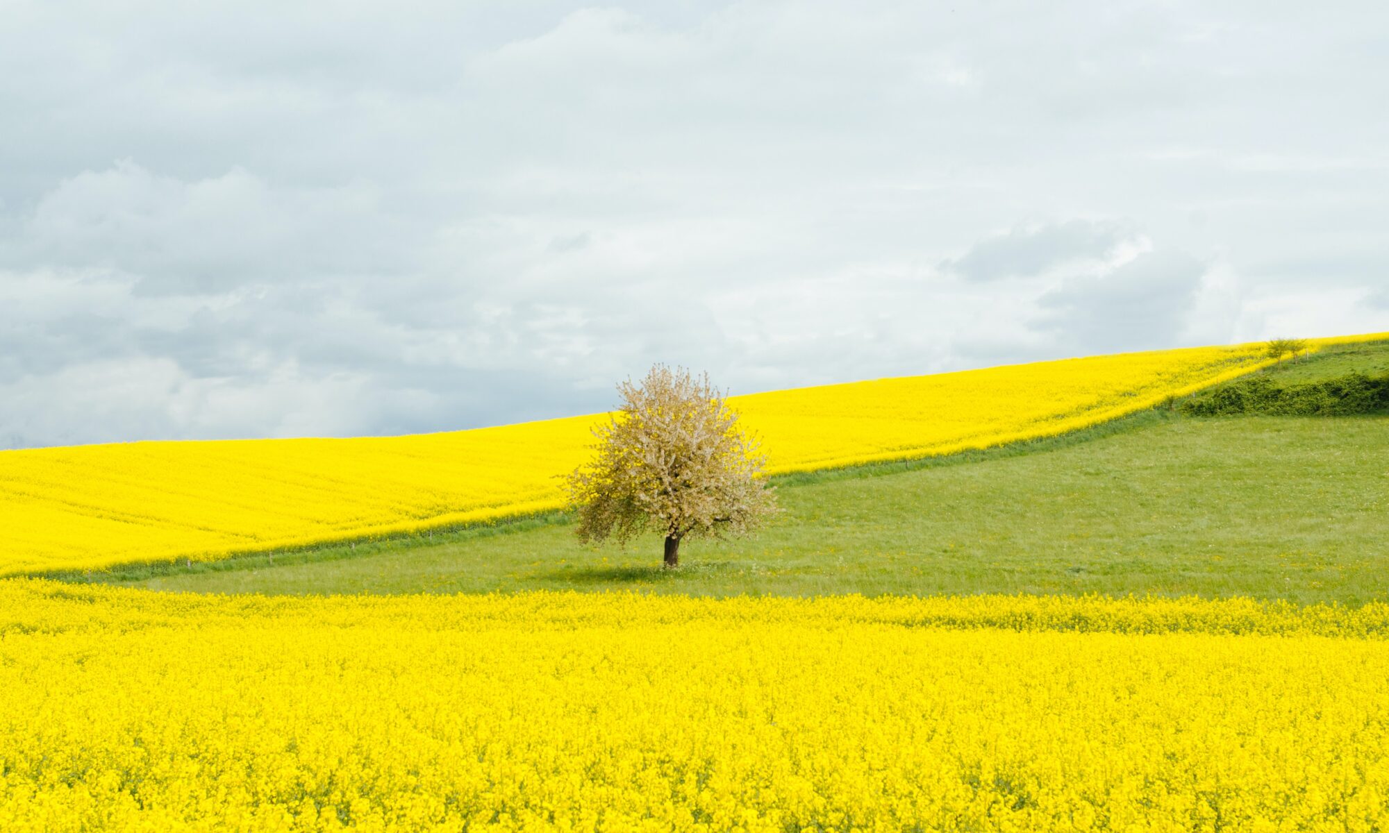 Übersetzungsbüro Aclens