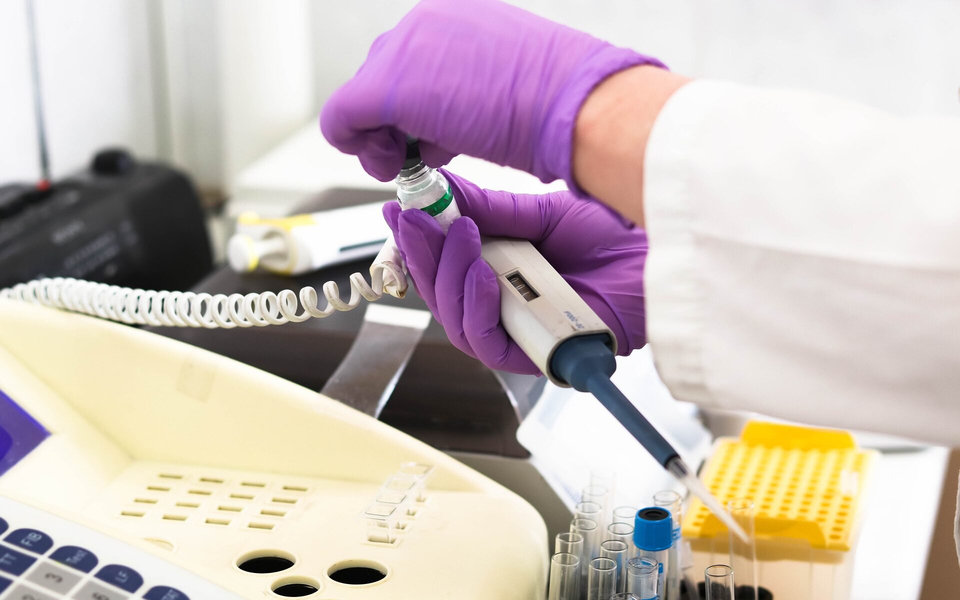 Übersetzungsbüro Zürich für Histologie
