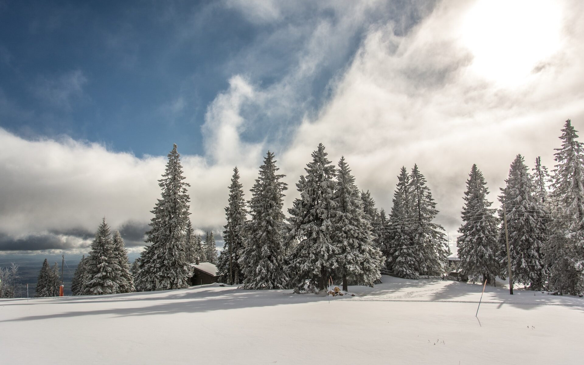 Traduzioni professionali a Bassins