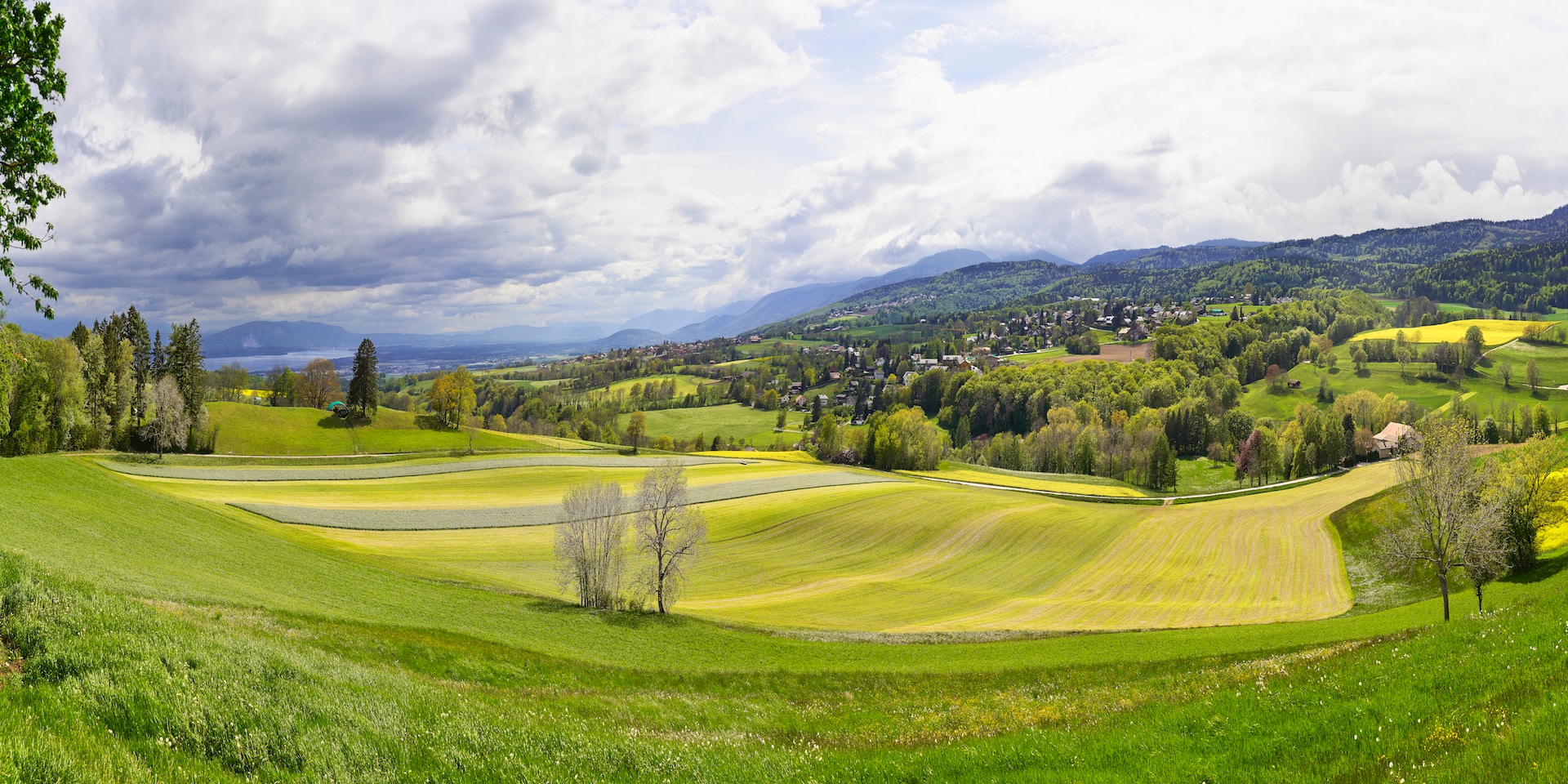 Professional translations in Burtigny