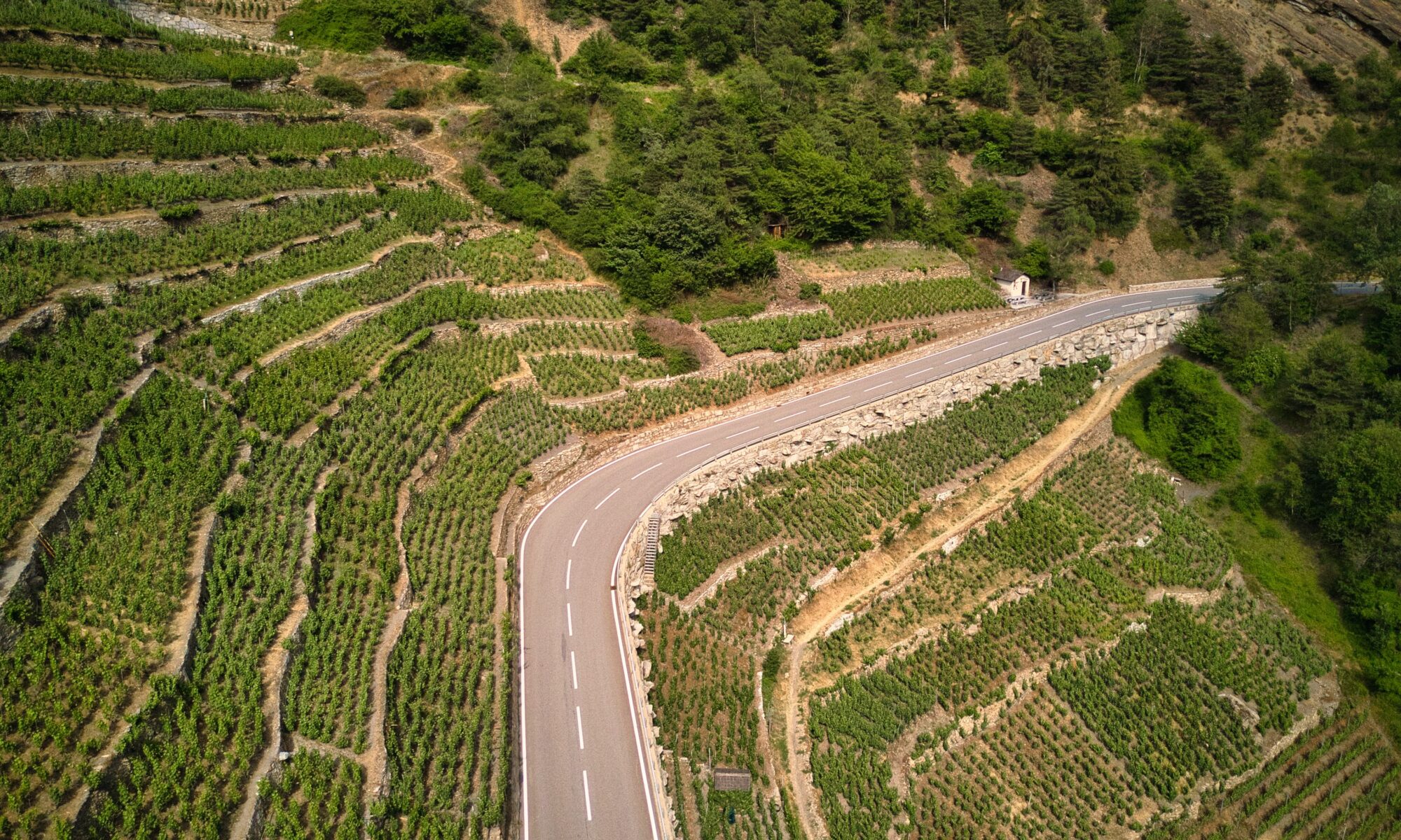 Traduzioni professionali a Varen
