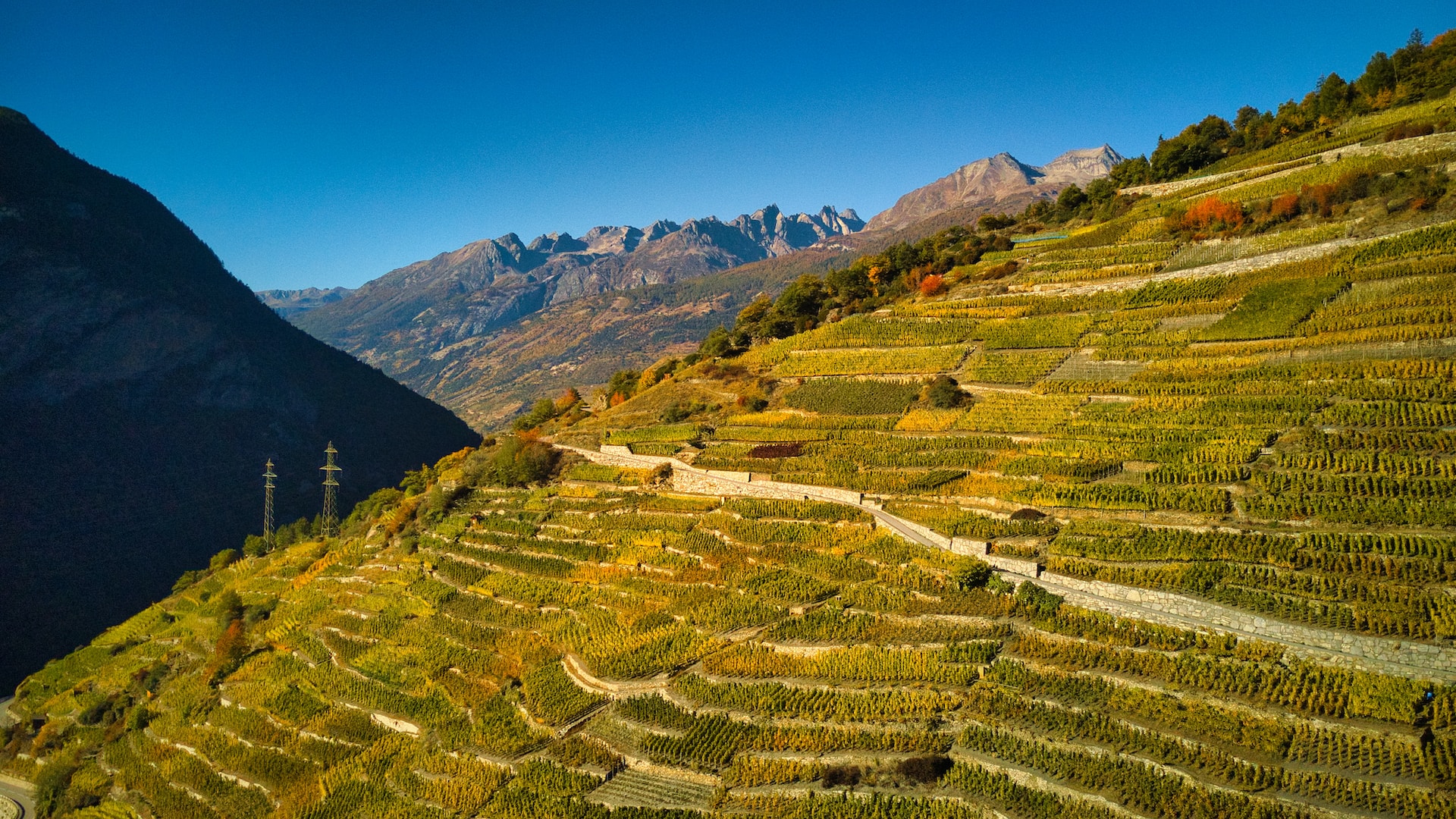 Traduzioni professionali a Venthône