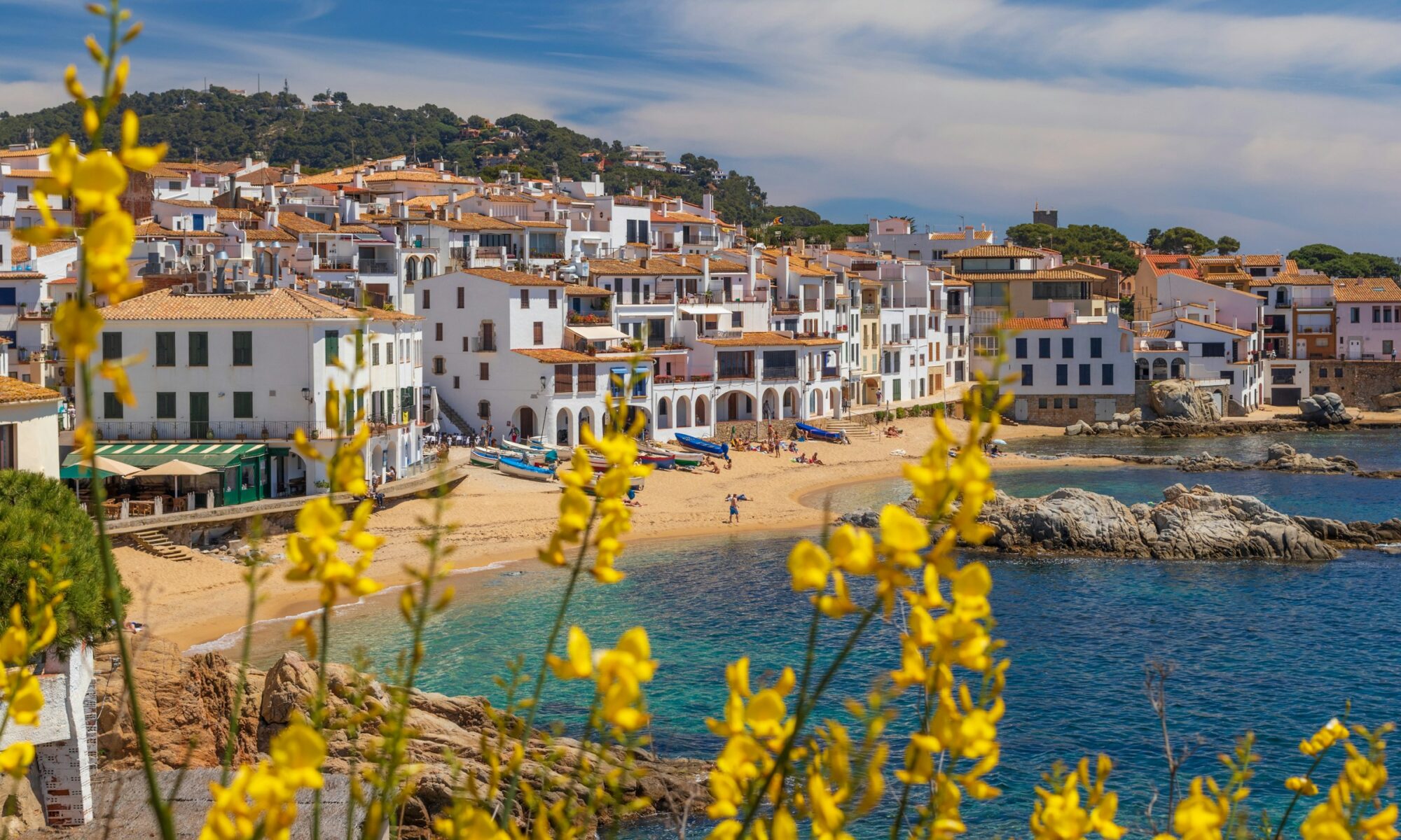 Übersetzer Deutsch-Spanisch Basel