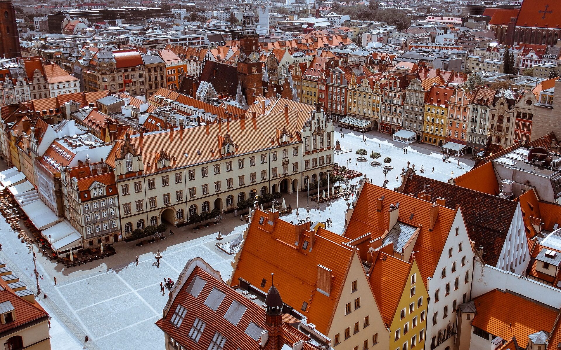 Übersetzung Polnisch-Deutsch