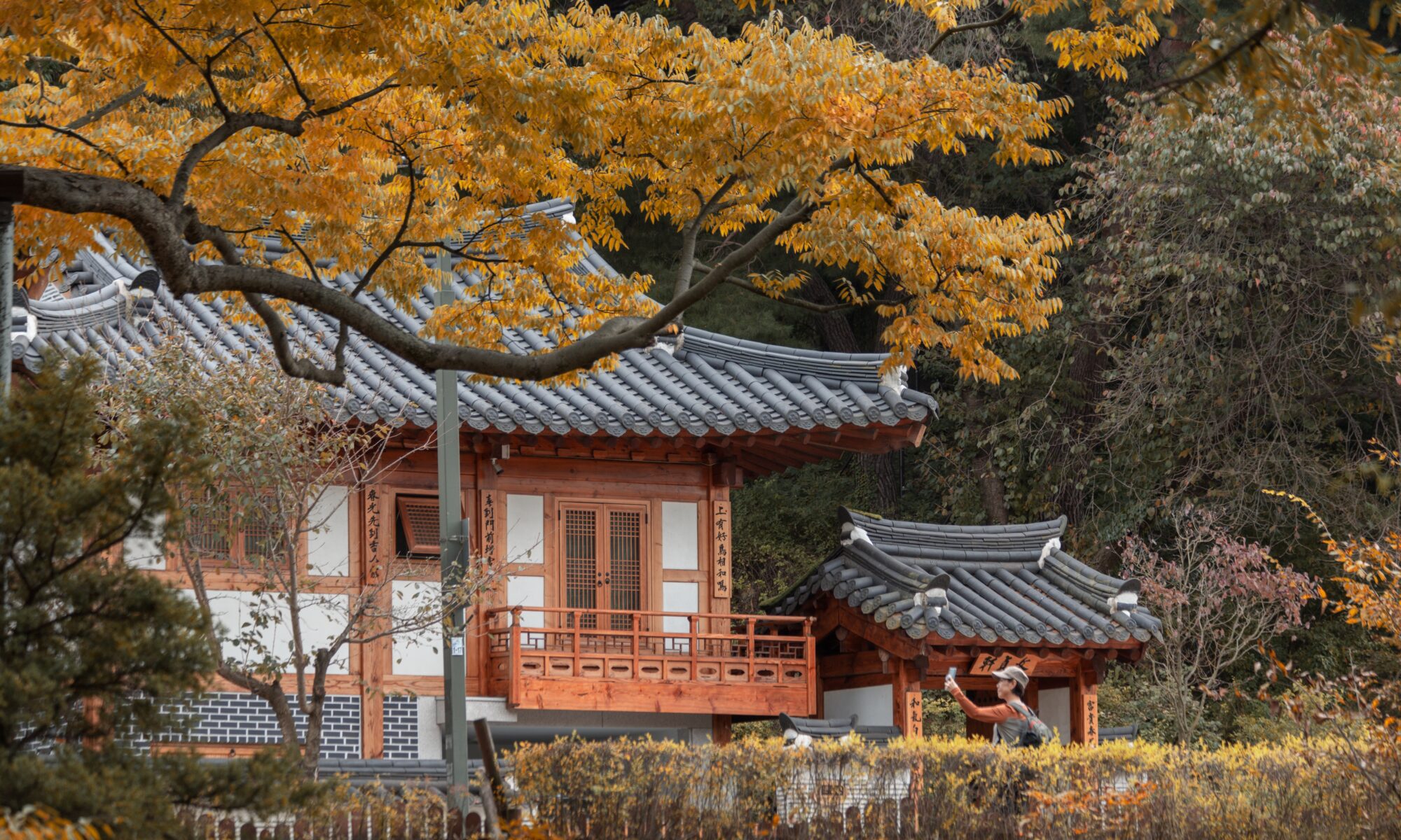 Übersetzungsbüro Koreanisch
